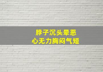 脖子沉头晕恶心无力胸闷气短