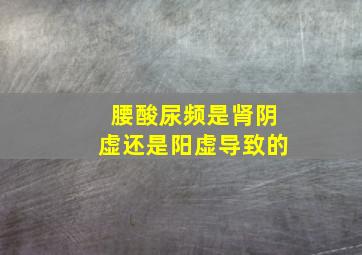 腰酸尿频是肾阴虚还是阳虚导致的