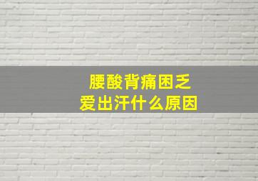 腰酸背痛困乏爱出汗什么原因