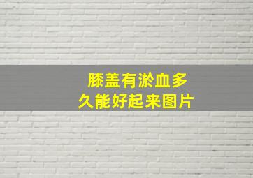 膝盖有淤血多久能好起来图片