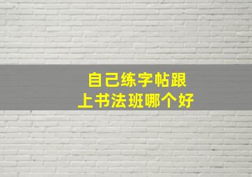 自己练字帖跟上书法班哪个好