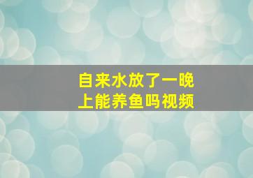 自来水放了一晚上能养鱼吗视频