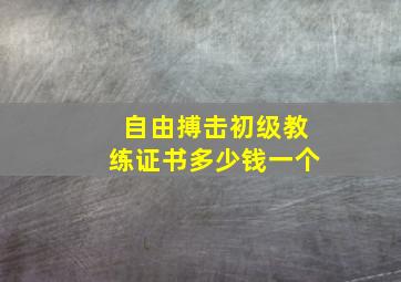 自由搏击初级教练证书多少钱一个