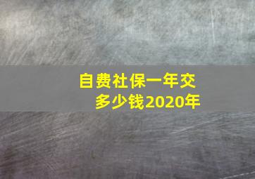 自费社保一年交多少钱2020年