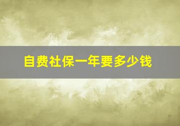 自费社保一年要多少钱