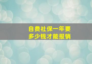 自费社保一年要多少钱才能报销