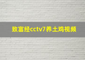 致富经cctv7养土鸡视频