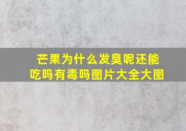 芒果为什么发臭呢还能吃吗有毒吗图片大全大图