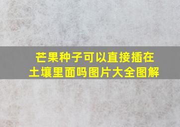 芒果种子可以直接插在土壤里面吗图片大全图解