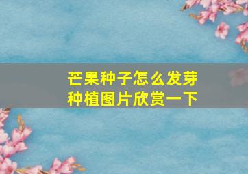 芒果种子怎么发芽种植图片欣赏一下