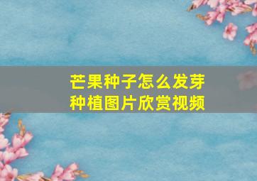 芒果种子怎么发芽种植图片欣赏视频