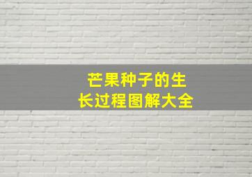 芒果种子的生长过程图解大全