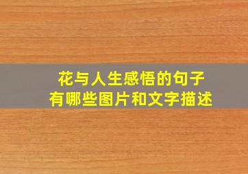 花与人生感悟的句子有哪些图片和文字描述