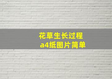 花草生长过程a4纸图片简单