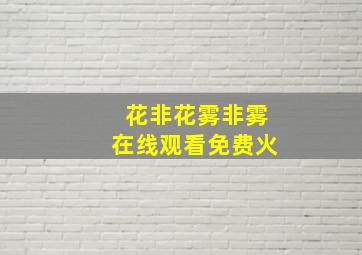 花非花雾非雾在线观看免费火