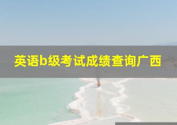 英语b级考试成绩查询广西