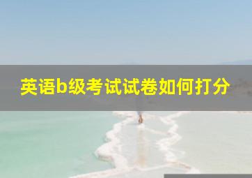 英语b级考试试卷如何打分