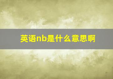 英语nb是什么意思啊