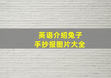 英语介绍兔子手抄报图片大全