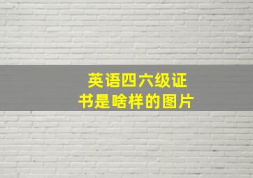 英语四六级证书是啥样的图片