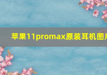 苹果11promax原装耳机图片