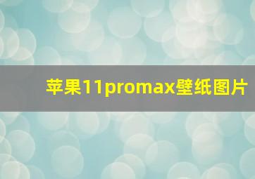 苹果11promax壁纸图片