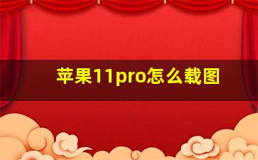 苹果11pro怎么载图