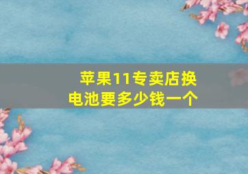 苹果11专卖店换电池要多少钱一个