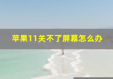 苹果11关不了屏幕怎么办