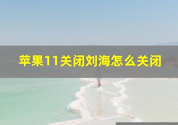 苹果11关闭刘海怎么关闭