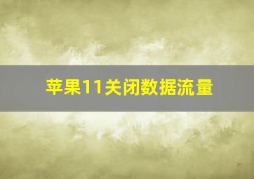 苹果11关闭数据流量