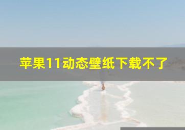 苹果11动态壁纸下载不了