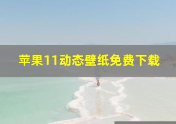 苹果11动态壁纸免费下载