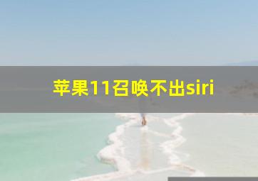 苹果11召唤不出siri