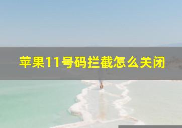 苹果11号码拦截怎么关闭