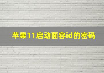 苹果11启动面容id的密码