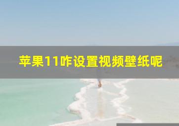 苹果11咋设置视频壁纸呢