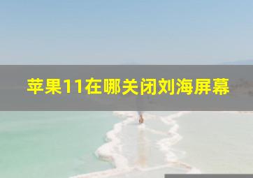 苹果11在哪关闭刘海屏幕