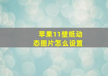 苹果11壁纸动态图片怎么设置