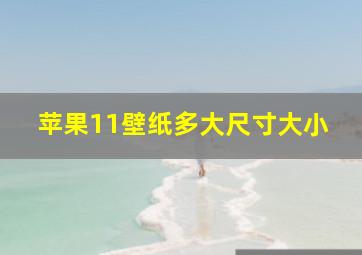 苹果11壁纸多大尺寸大小