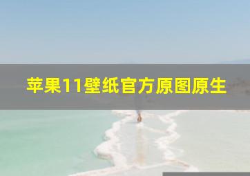 苹果11壁纸官方原图原生