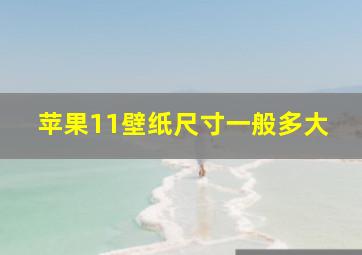 苹果11壁纸尺寸一般多大