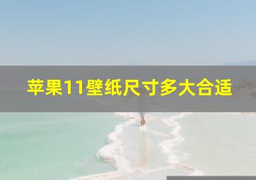 苹果11壁纸尺寸多大合适