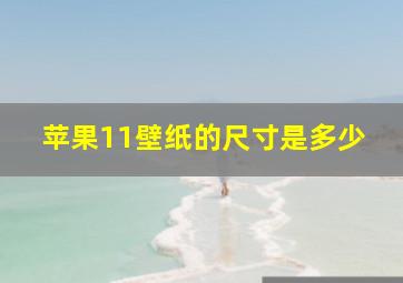 苹果11壁纸的尺寸是多少