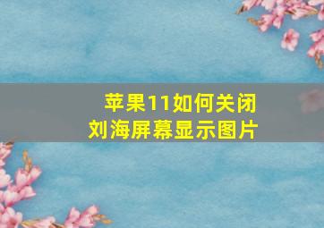 苹果11如何关闭刘海屏幕显示图片