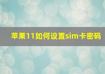 苹果11如何设置sim卡密码