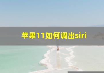 苹果11如何调出siri