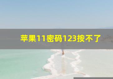 苹果11密码123按不了