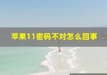 苹果11密码不对怎么回事