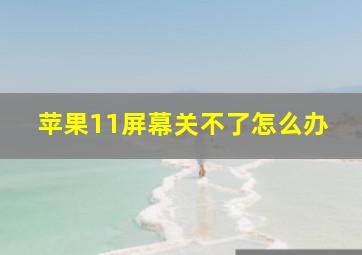 苹果11屏幕关不了怎么办